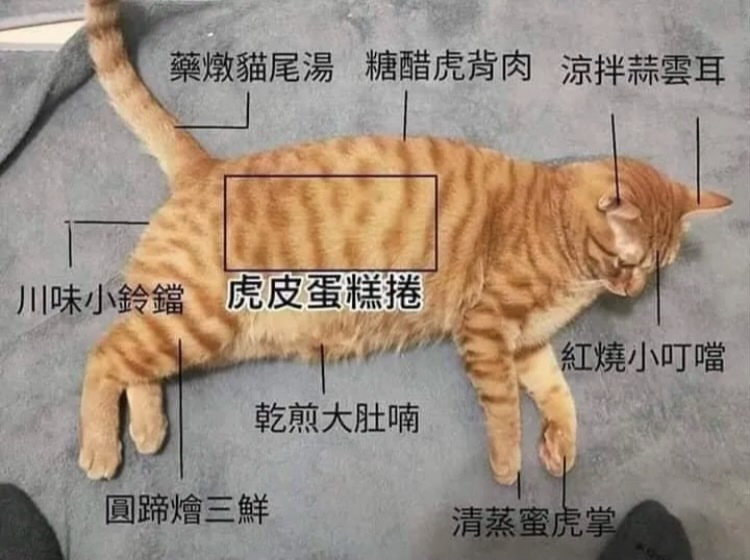 [圖]