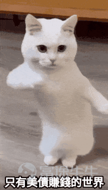 [圖]