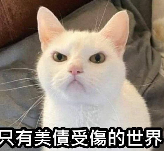 [圖]