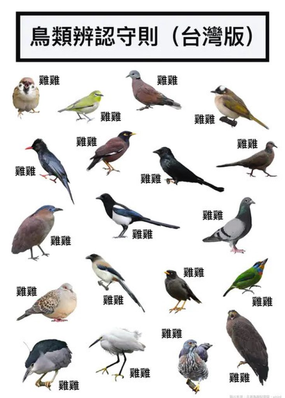 [圖]