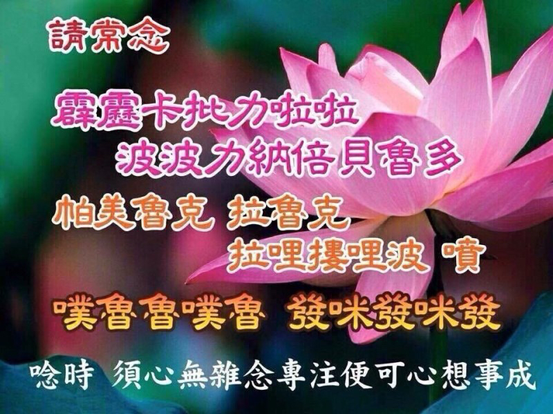 [圖]