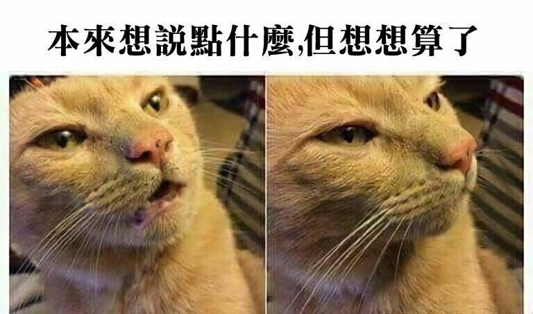 [圖]