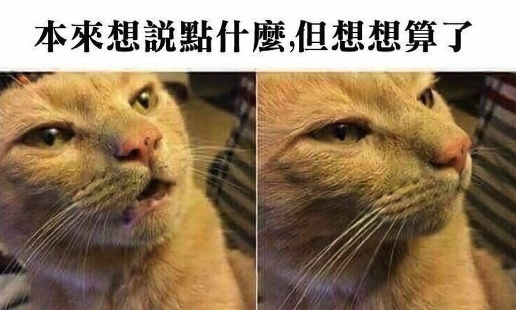 [圖]