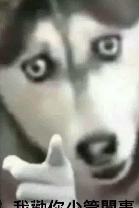 [圖]