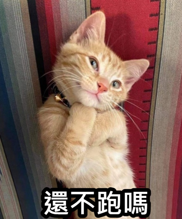 [圖]