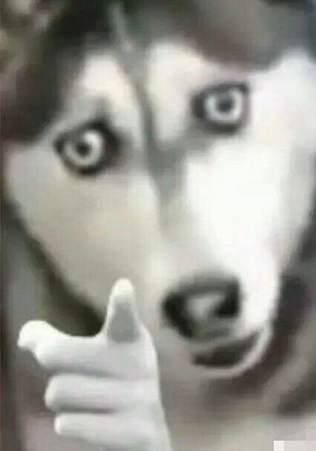 [圖]