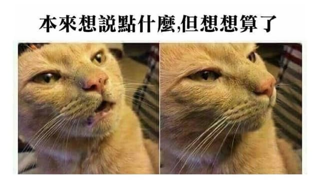 [圖]