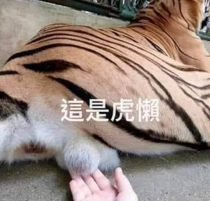 [圖]