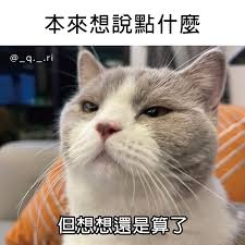 [圖]