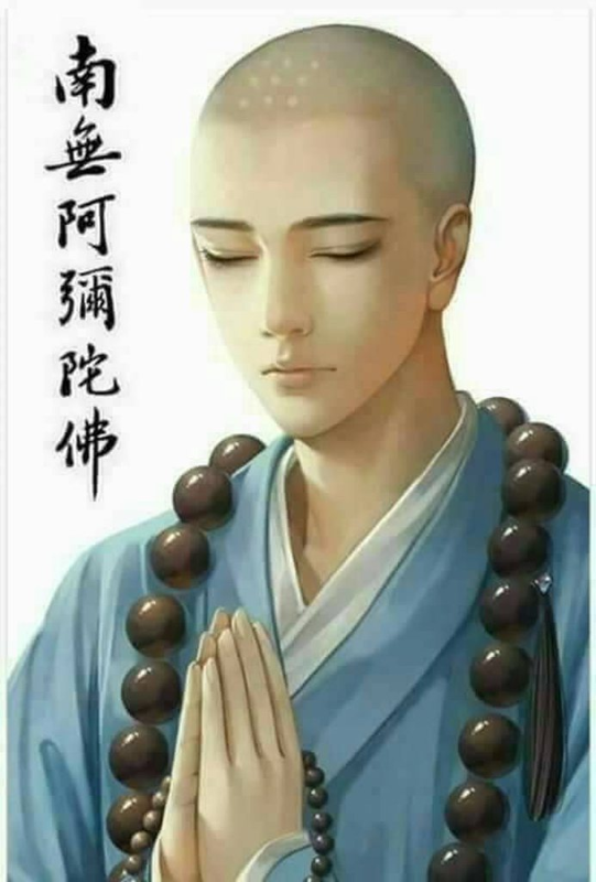 [圖]