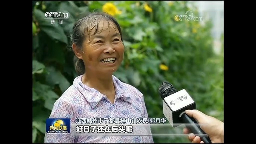 [圖]