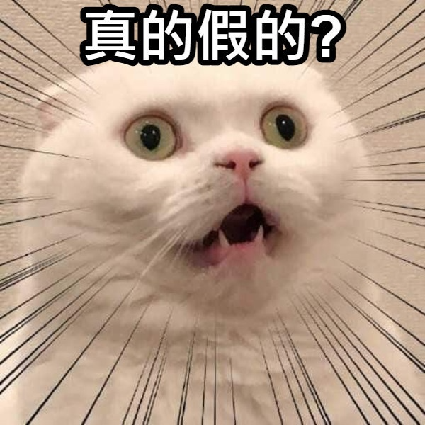 [圖]