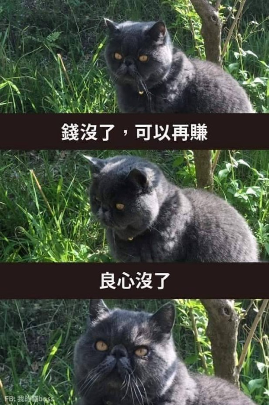 [圖]