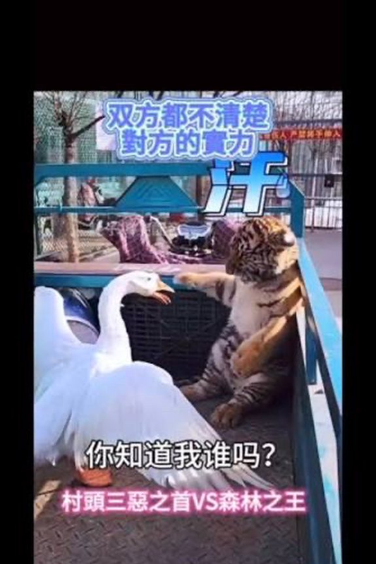 [圖]