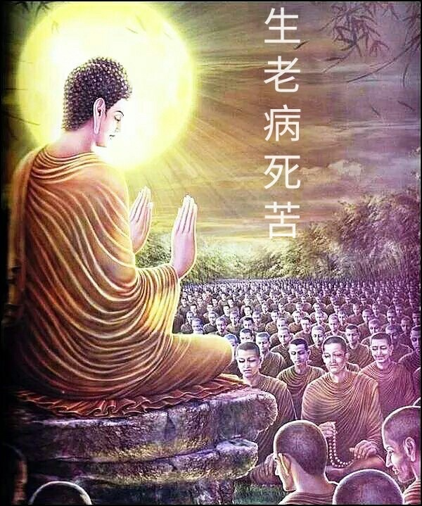 [圖]