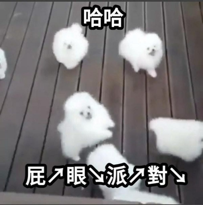 [圖]