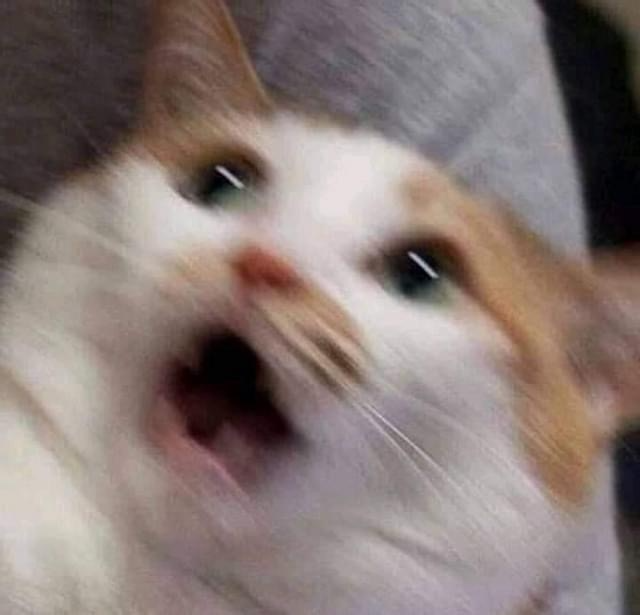 [圖]