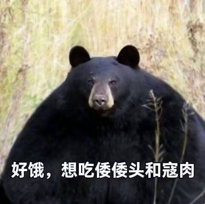 [圖]