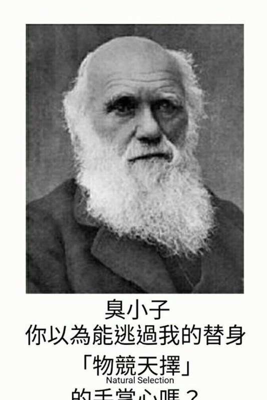[圖]