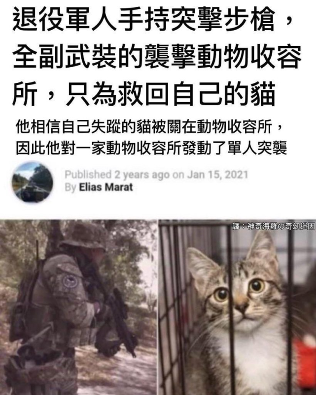 [圖]