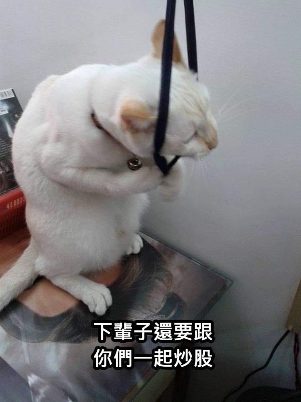 [圖]