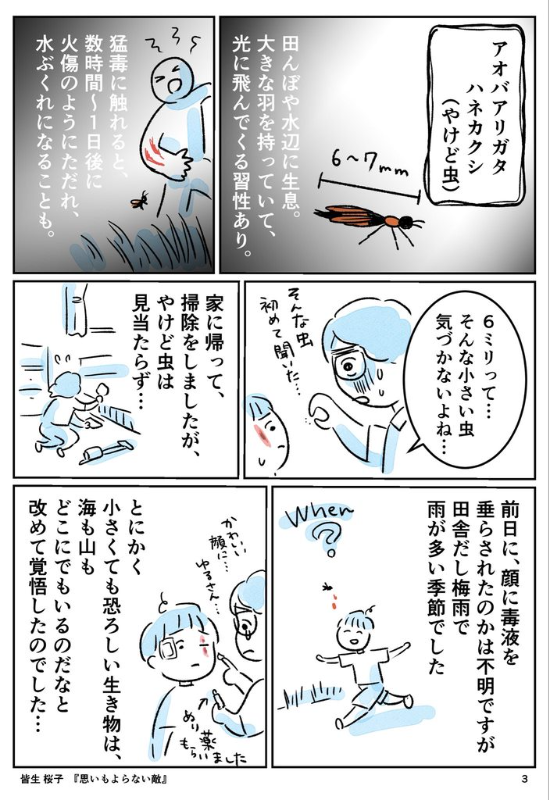 [圖]