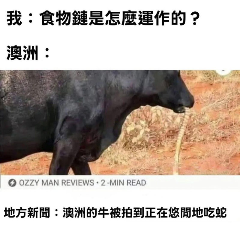 [圖]