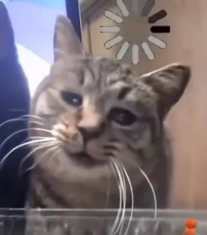 [圖]