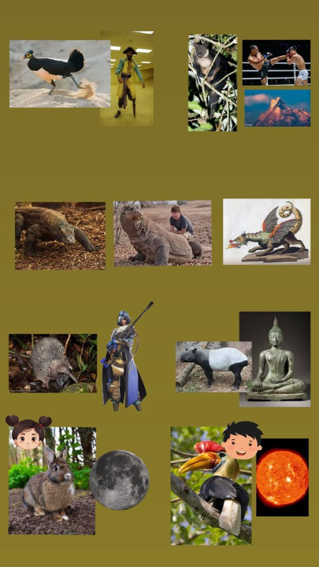 [圖]