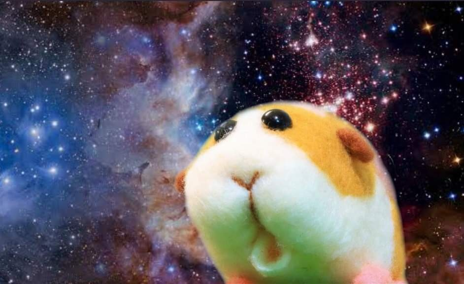 [圖]