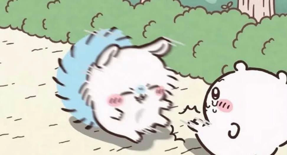 [圖]