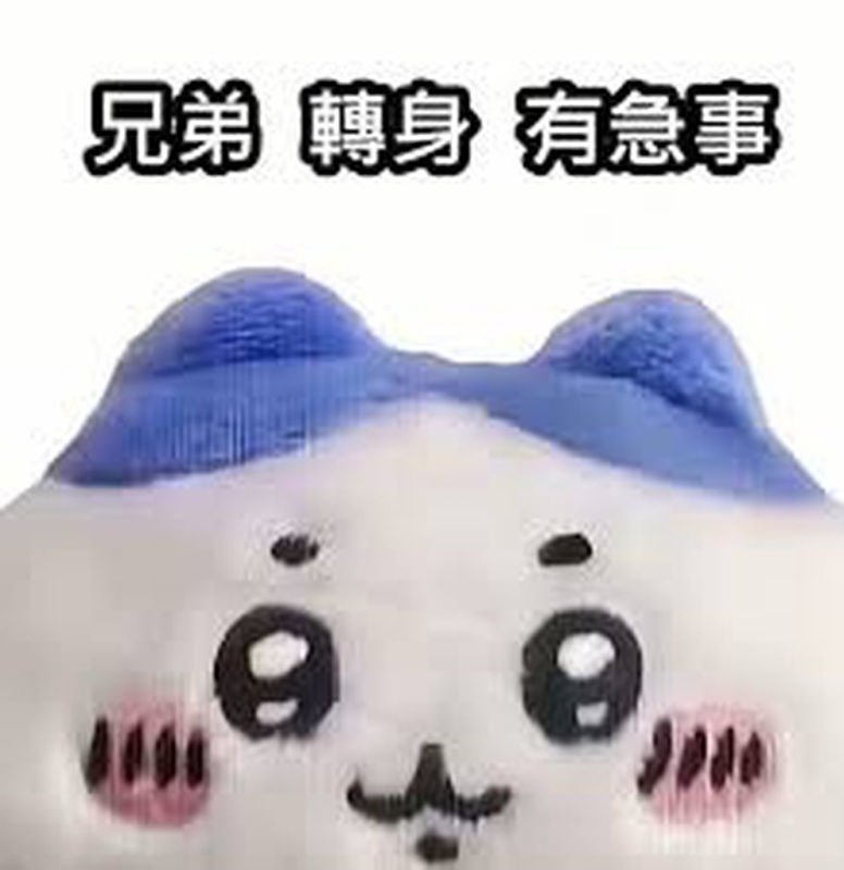 [圖]