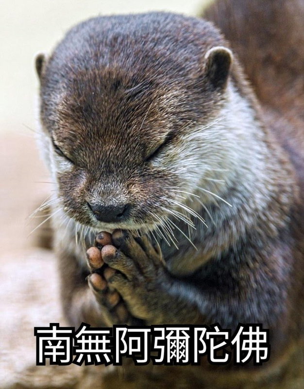 [圖]