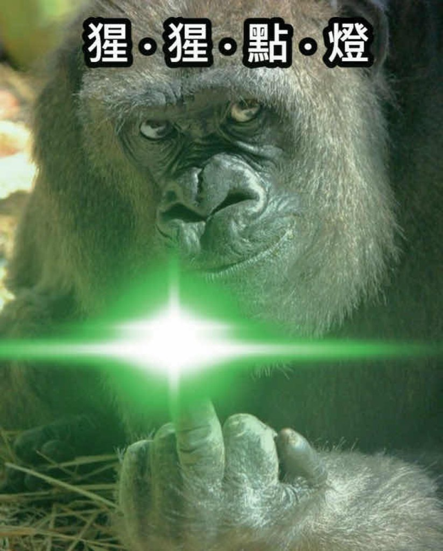 [圖]