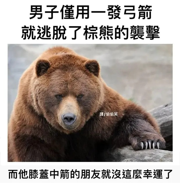 [圖]
