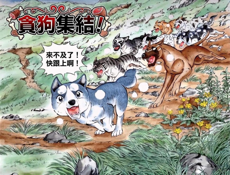 [圖]