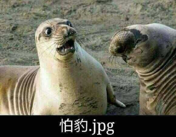 [圖]