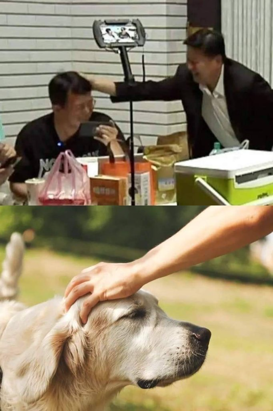 [圖]