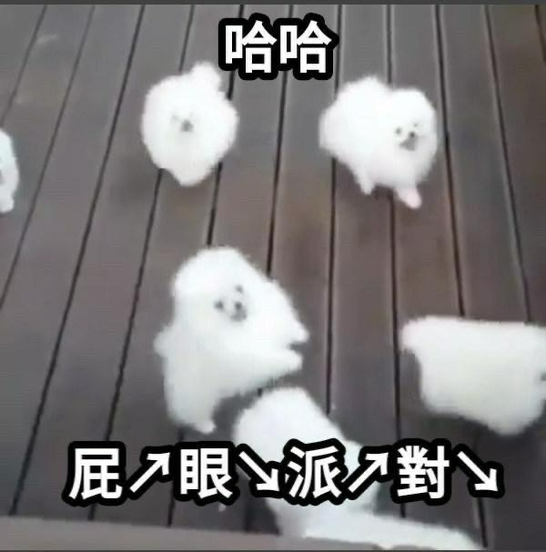 [圖]