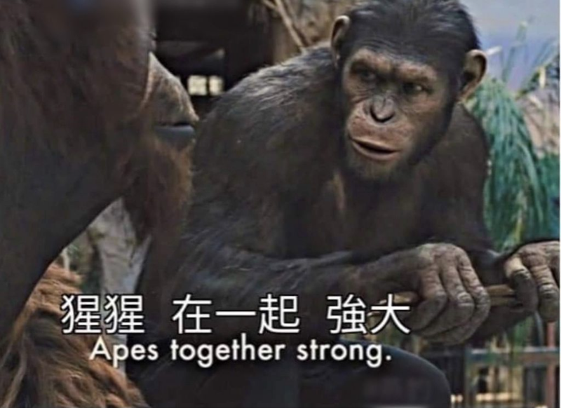 [圖]