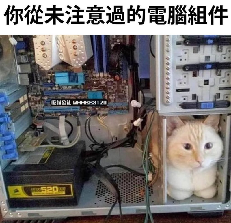 [圖]