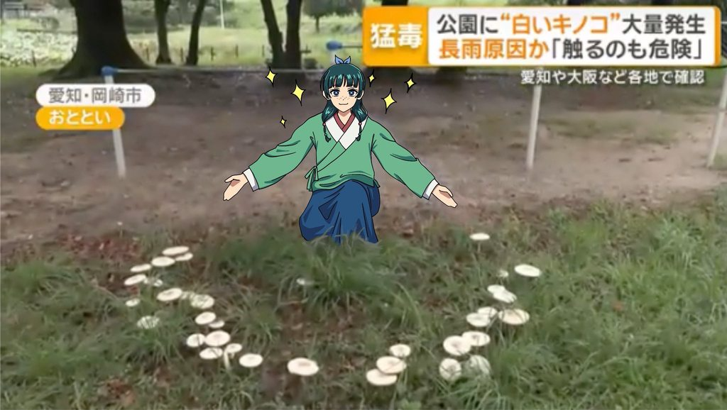 [圖]