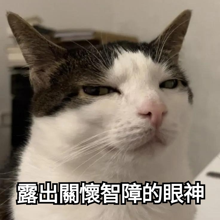 [圖]