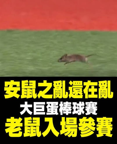 [圖]