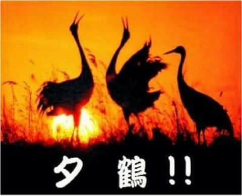 [圖]