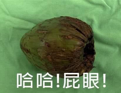 [圖]