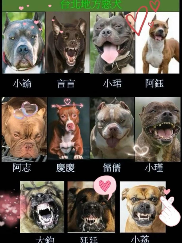 [圖]