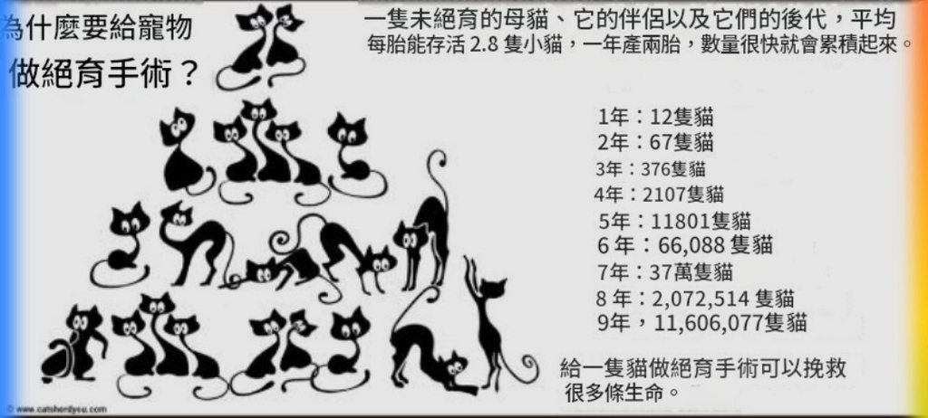 [圖]