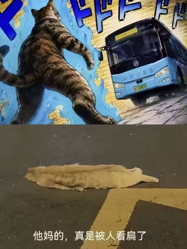 [圖]