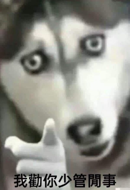 [圖]